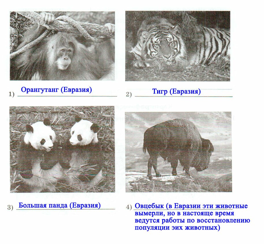 § 53. Разнообразие природы Евразии - Домогацких. 7 класс 2 часть. Рабочая тетрадь